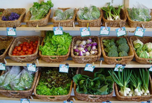 alimentos_ecologicos