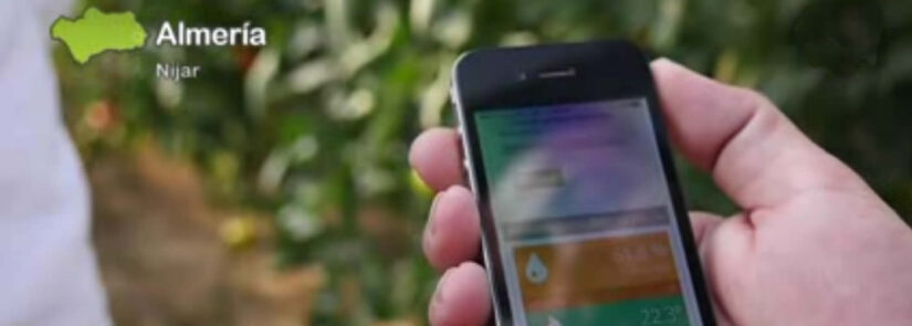 brioagro_historias_de_luz_andalucia