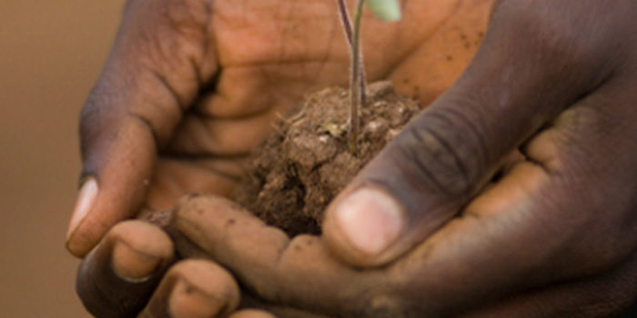agricultura_en_el_desierto