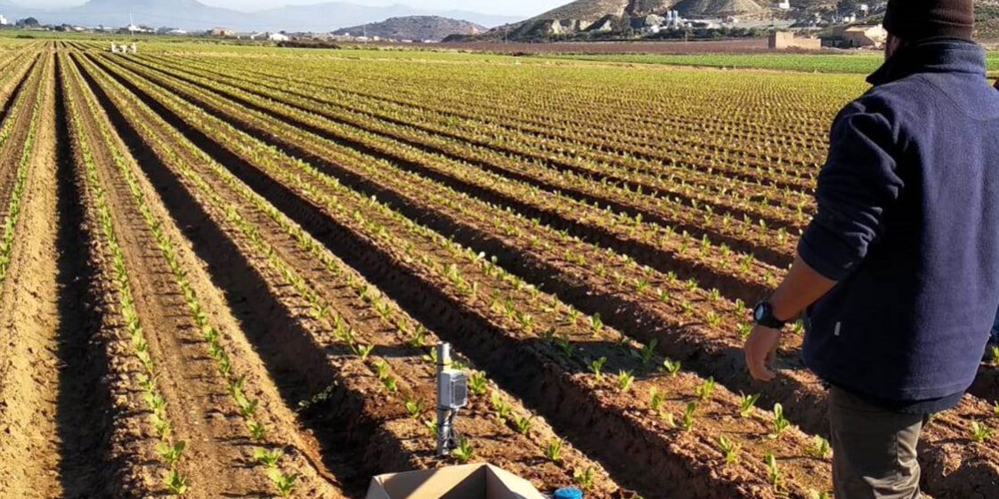 installation-BrioAgro