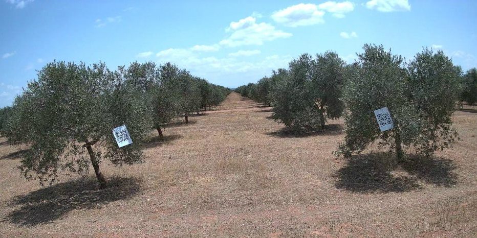 2023.05.19-SantaBarbara-cam