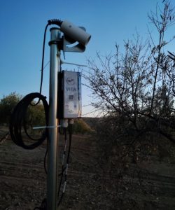 Radiómetro en Olivar, Jaén