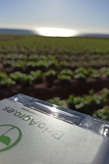 BrioAgro ViTA Mediterrenean Sea